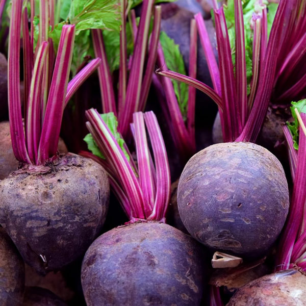Unveiling Beetroot's Health and Culinary Wonders