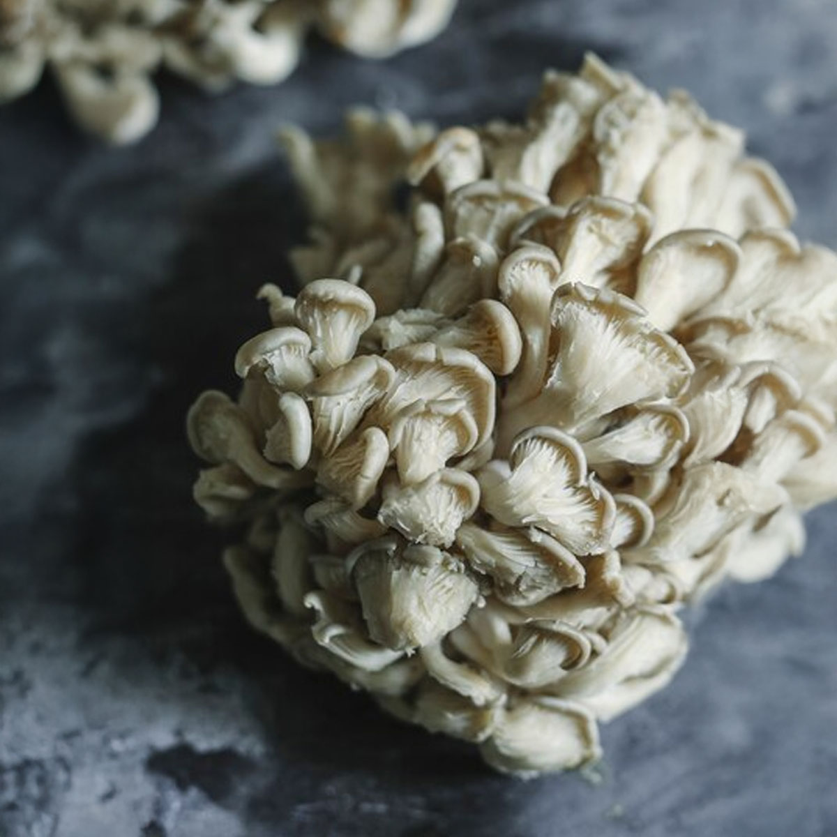 Lion's Mane, cognitive support, brain-boosting mushroom UK