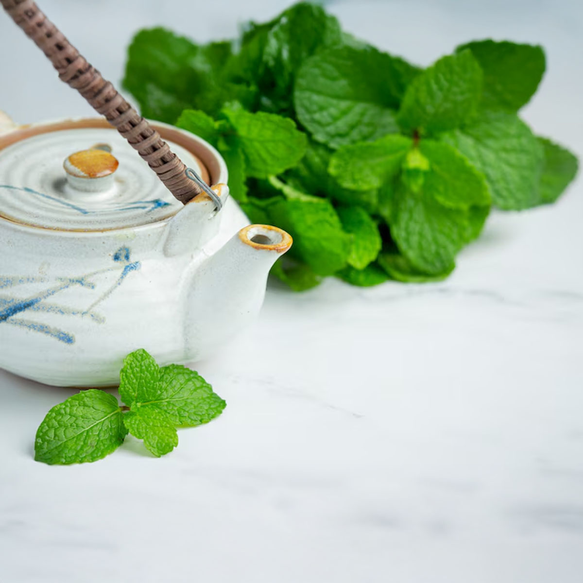 Spearmint Tea Botanical Profile Therapeutic Applications and Consumer Guidance