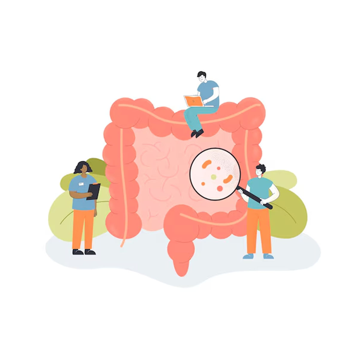 diverticulitis diet, high fibre foods, gut health