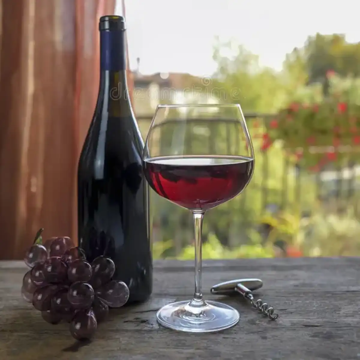 Vegan Wine