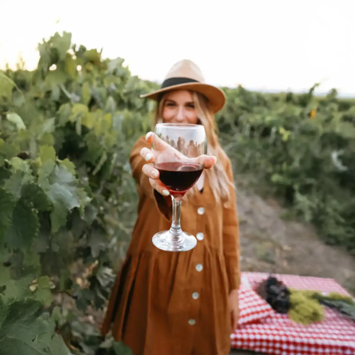 Beyond the egg white, ancient clarification techniques are making a comeback in modern vegan wine